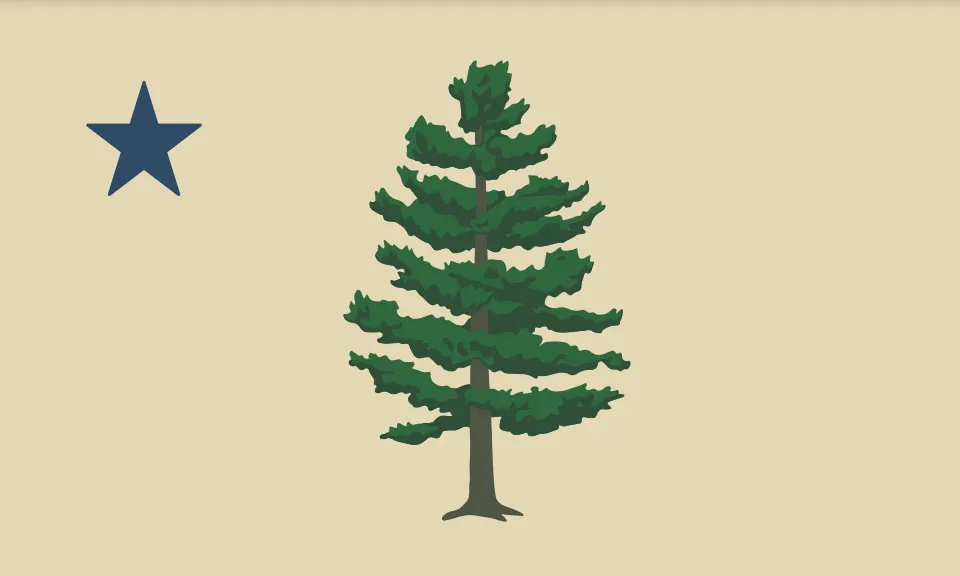 Design of the Maine State Flag as depicted in the Maine Citizen’s Guide to the Referendum Election. Displays a large drawn pine tree in the center with a blue, five point start in the top left.